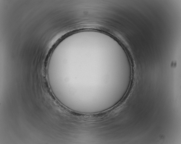 X0000112090883200908041045