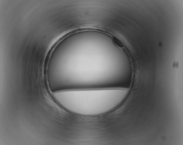 X0000112090884200908041045