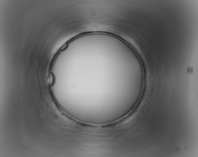 X0000112090885200908041045