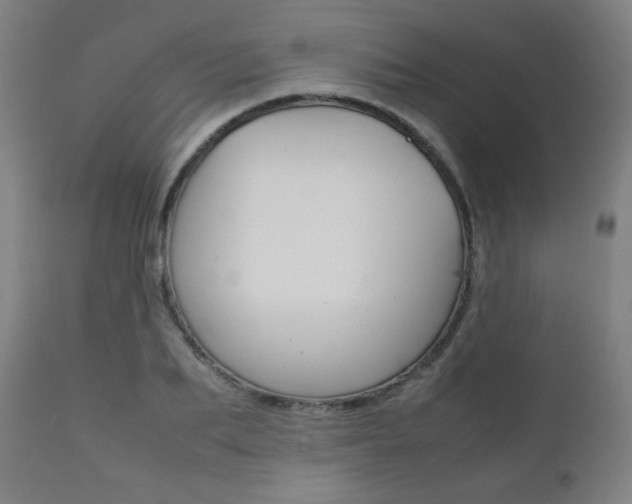 X0000112090887200908041045