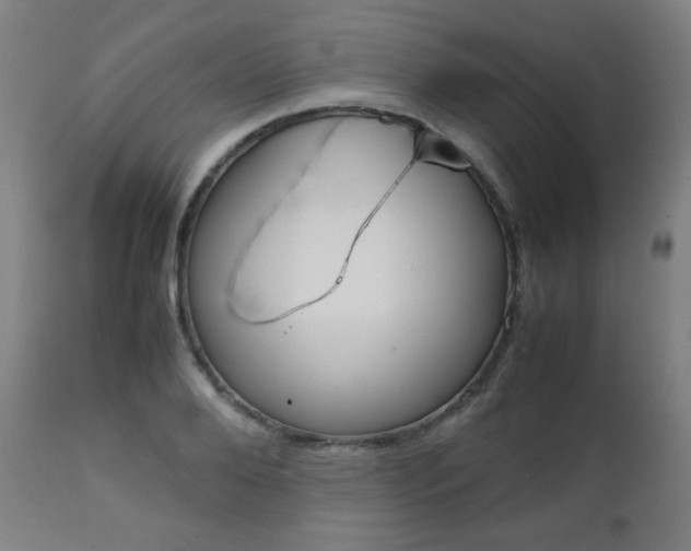 X0000112090888200908041045