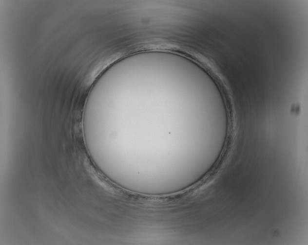 X0000112090889200908041045