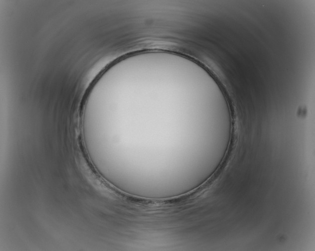 X0000112090891200908041045