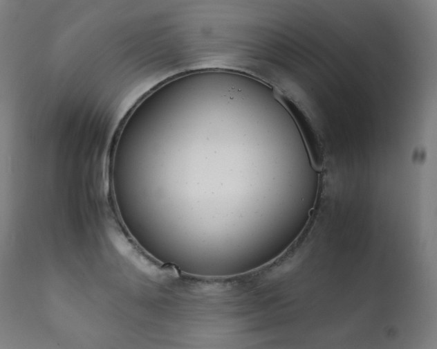 X0000112090892200908041045