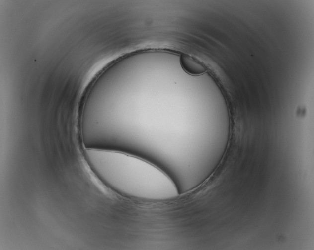 X0000112090894200908041045