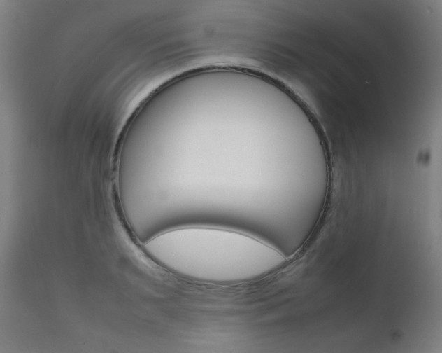 X0000112090895200908041045