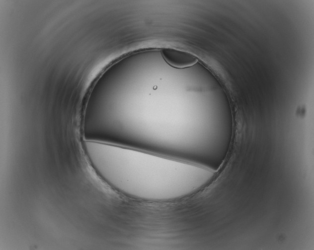 X0000112090896200908041045