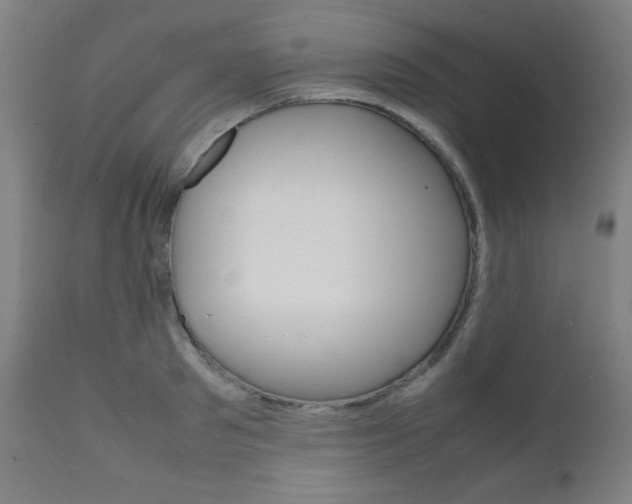 X0000112090897200908041045