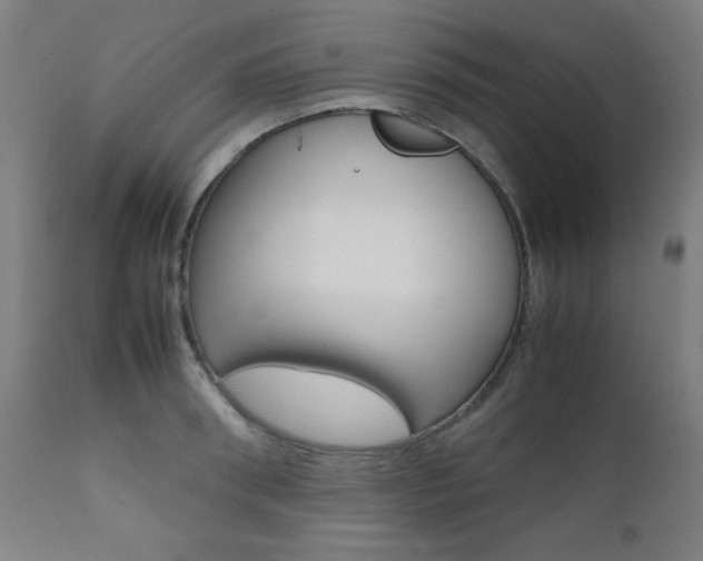 X0000112090898200908041045