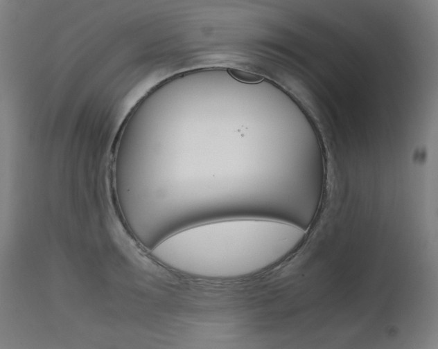 X0000112090899200908041045