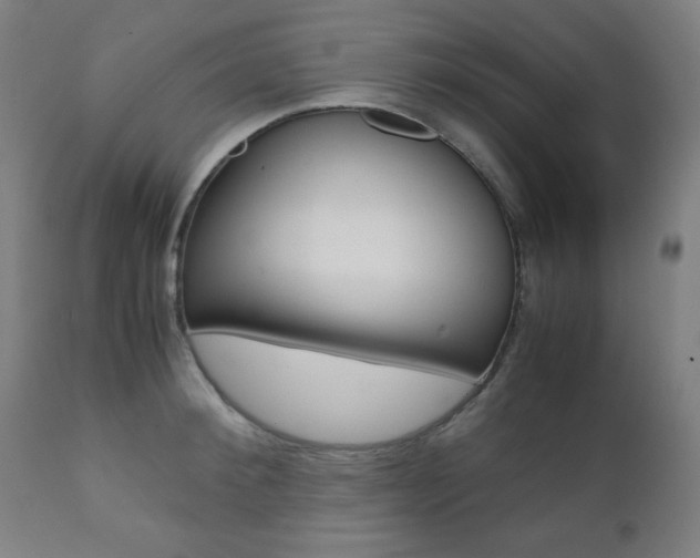 X0000112090900200908041045