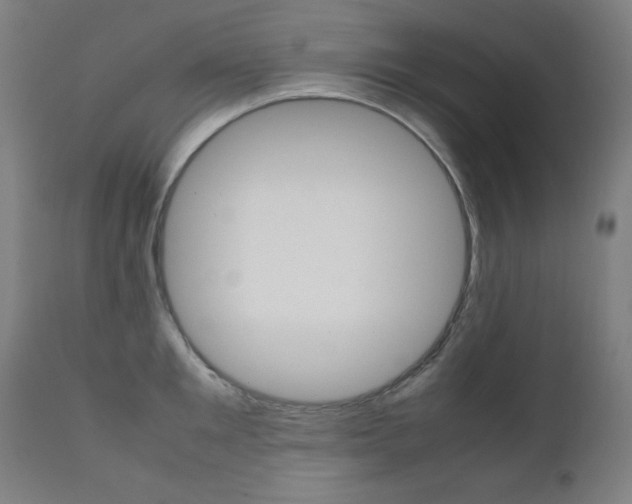 X0000112090901200908041045