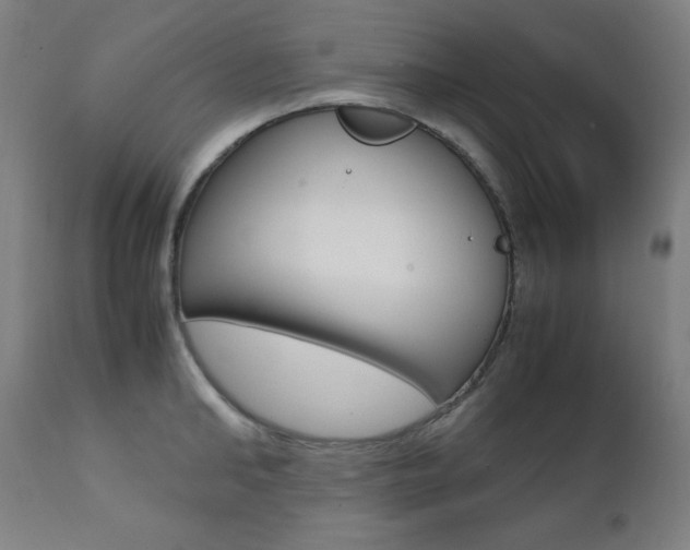 X0000112090902200908041045