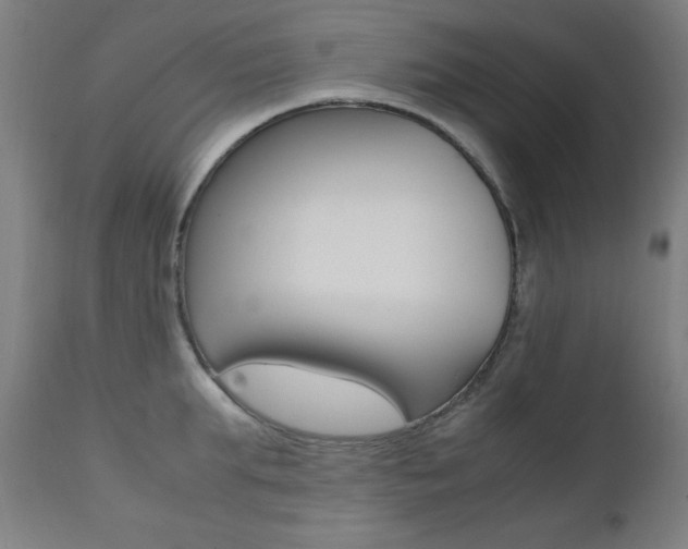 X0000112090903200908041045