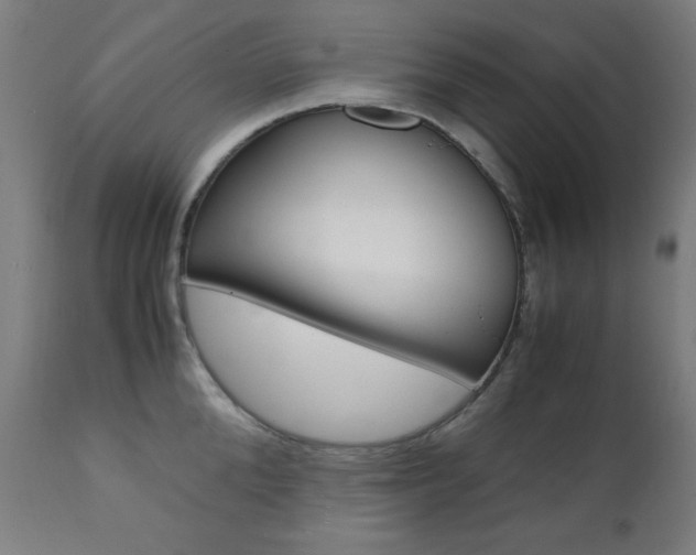 X0000112090904200908041045