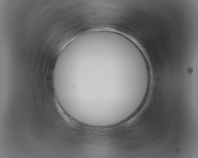 X0000112090905200908041045
