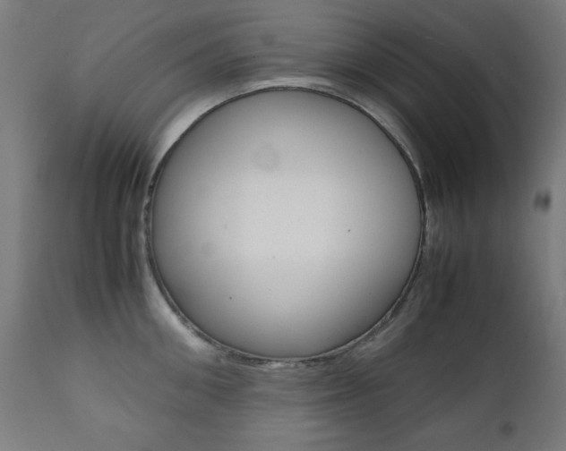X0000112090906200908041045