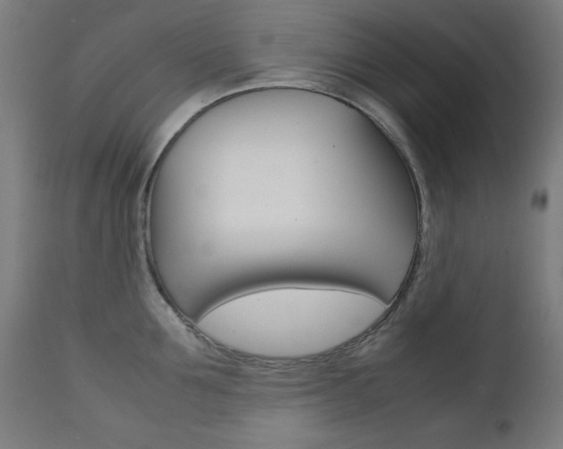 X0000112090907200908041045