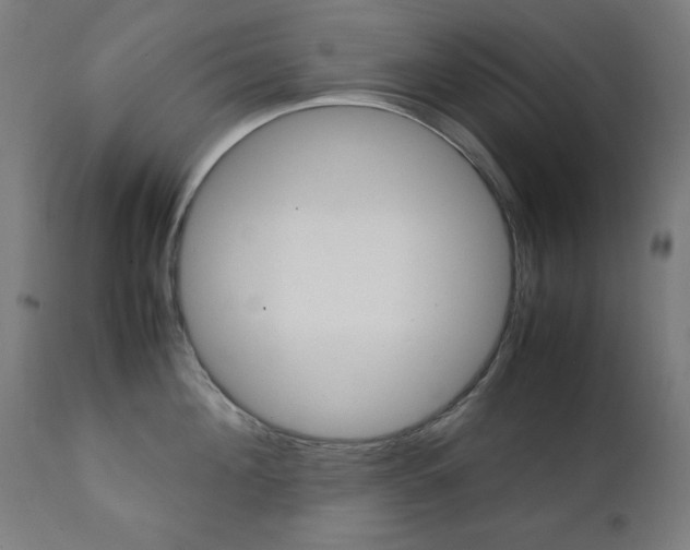 X0000112090908200908041045