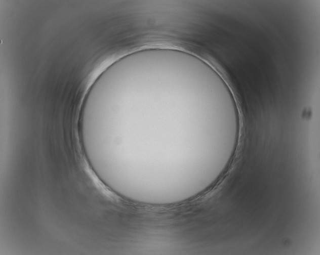 X0000112090909200908041045