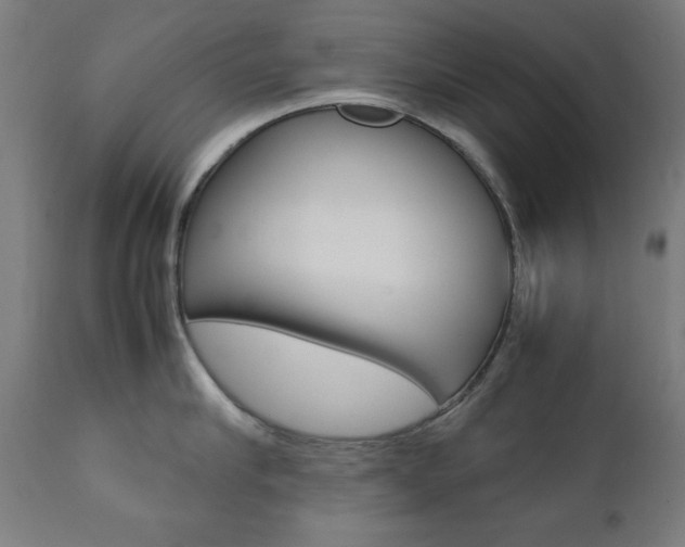 X0000112090910200908041045