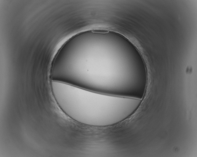 X0000112090912200908041045