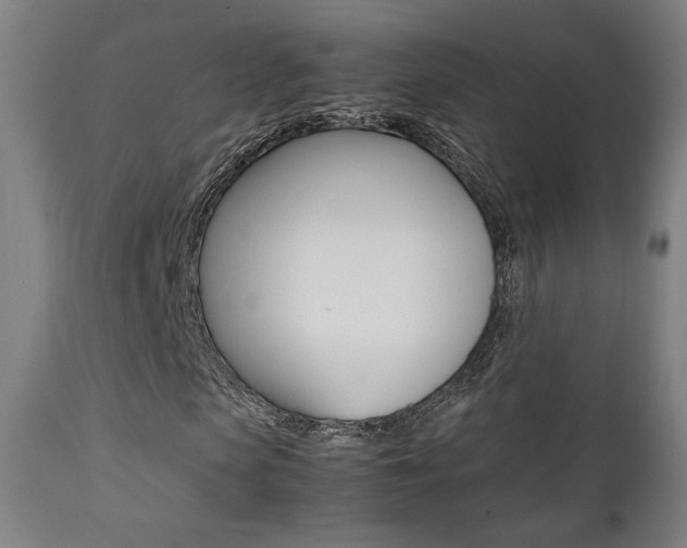 X0000112090913200908041044