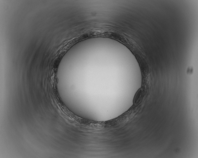 X0000112090914200908041044