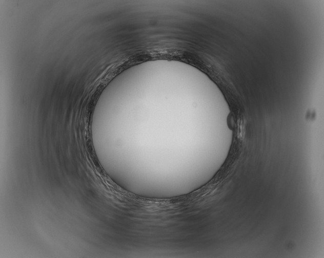 X0000112090915200908041044
