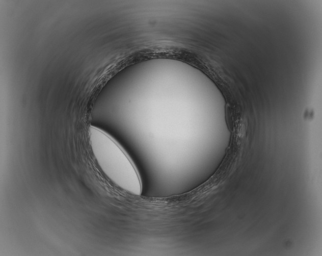 X0000112090916200908041044