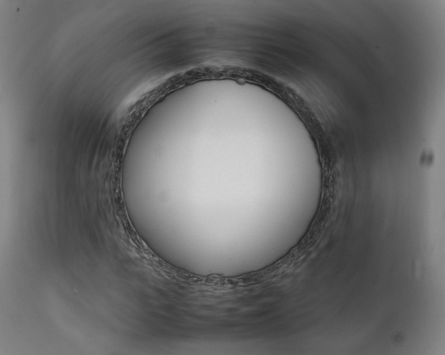 X0000112090919200908041044