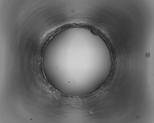 X0000112090920200908041044