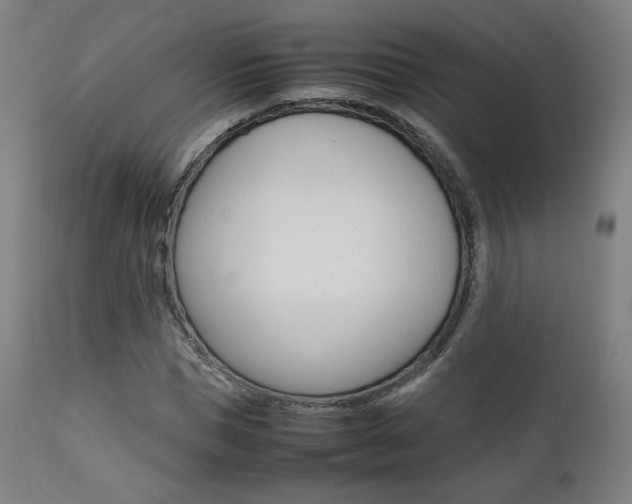 X0000112090921200908041044