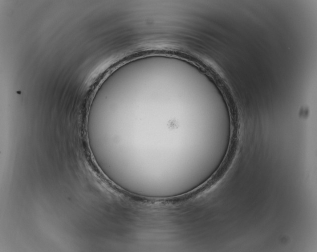 X0000112090922200908041044