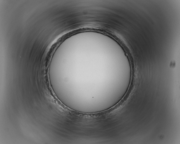 X0000112090923200908041044
