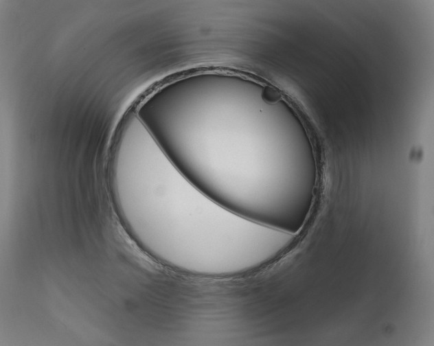 X0000112090924200908041044