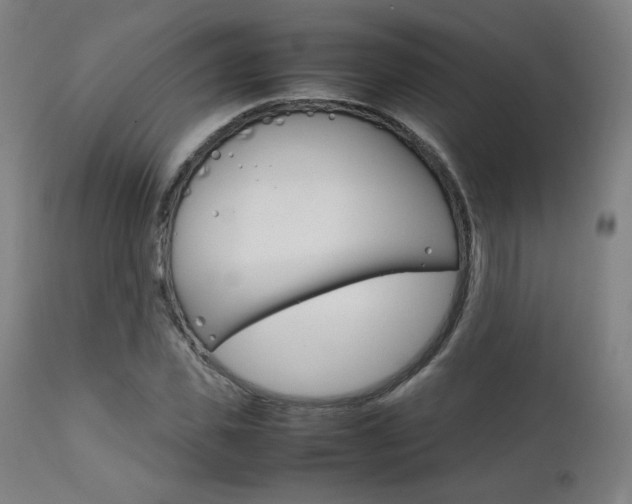 X0000112090925200908041044