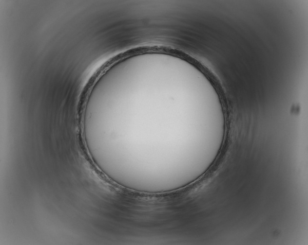 X0000112090927200908041044
