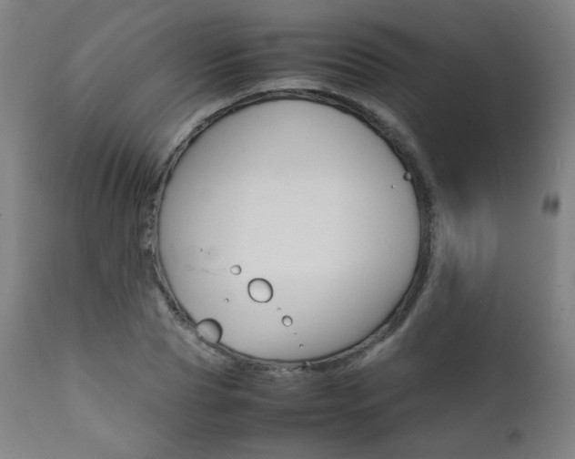 X0000112090929200908041044