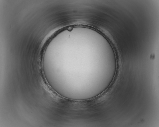 X0000112090931200908041044