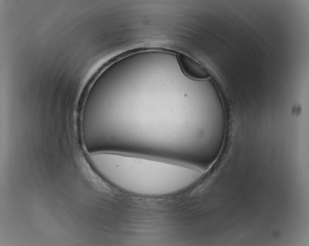 X0000112090932200908041044