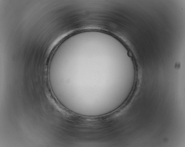 X0000112090933200908041044