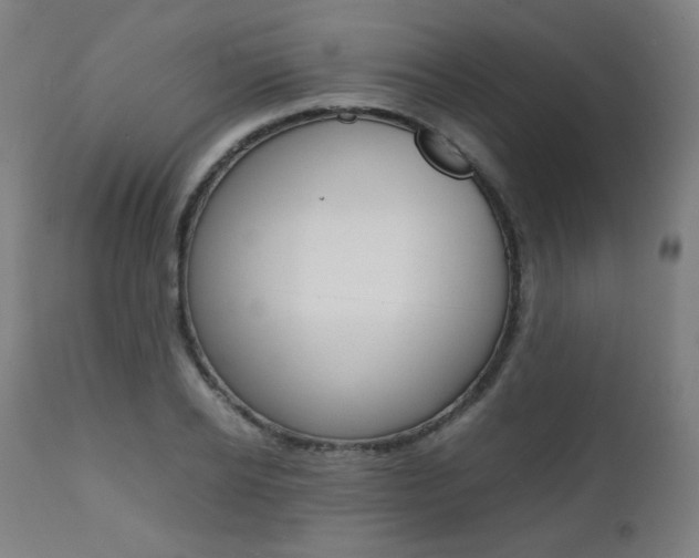 X0000112090934200908041044