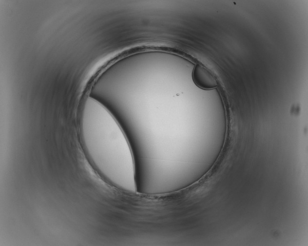 X0000112090935200908041044