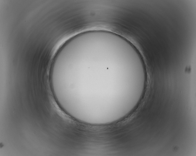 X0000112090936200908041045