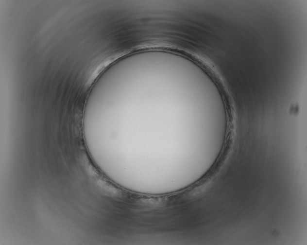 X0000112090937200908041045