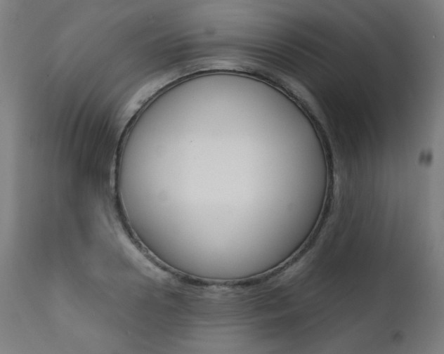 X0000112090938200908041045