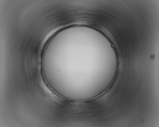 X0000112090939200908041045