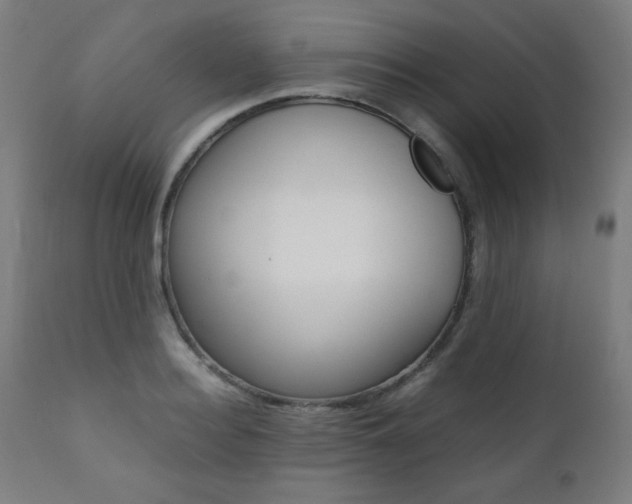 X0000112090940200908041045