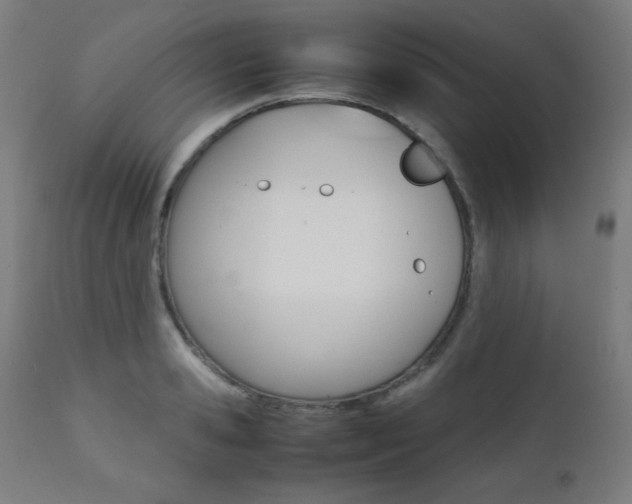 X0000112090941200908041045